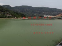 其它圖